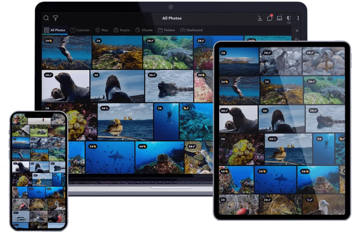 Why we switched to Mylio Photos from Apple Photos