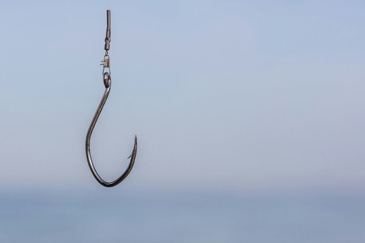 Professional phishing - personal experience